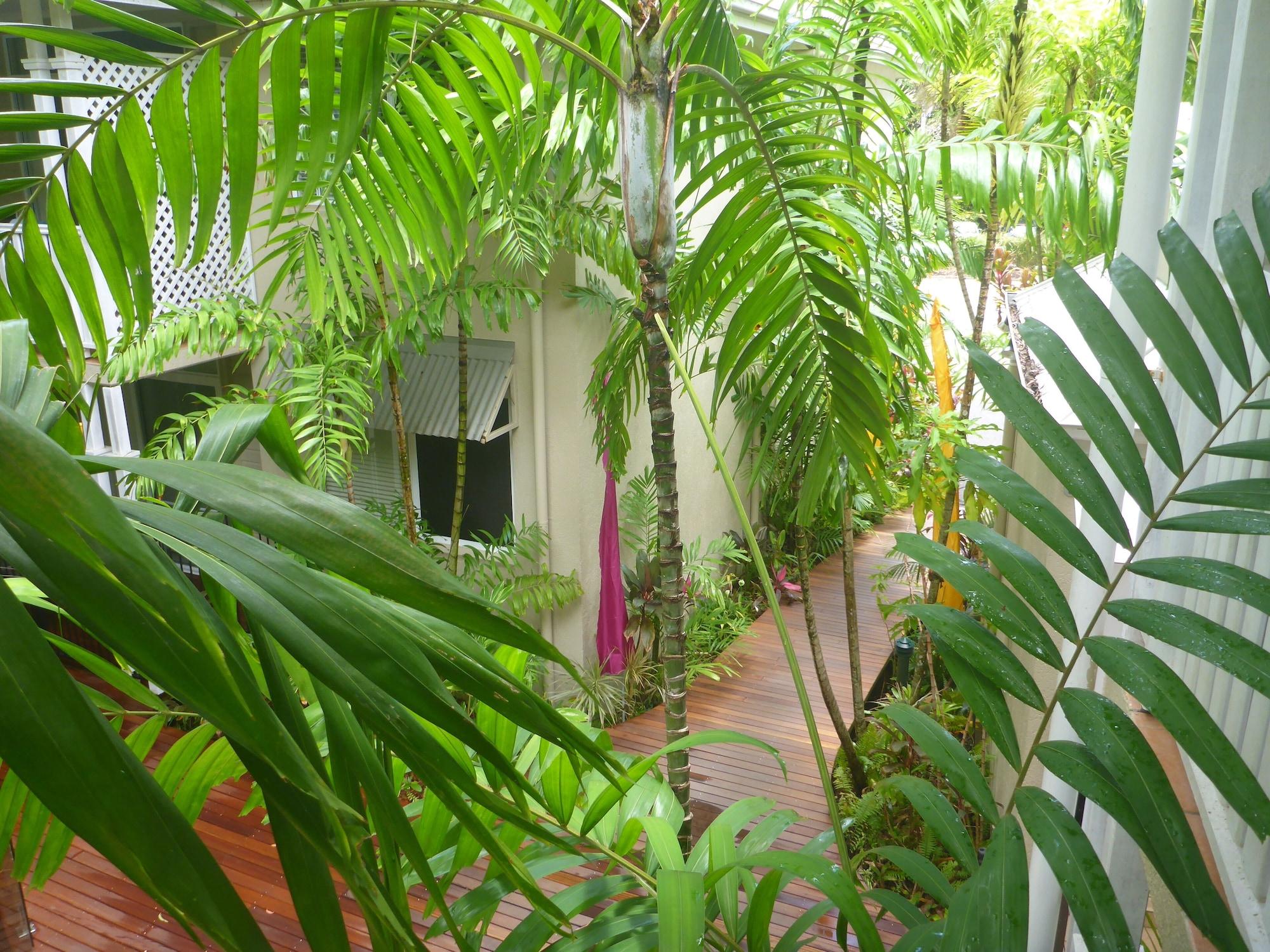 Palm Cove Tropic Apartments Eksteriør bilde