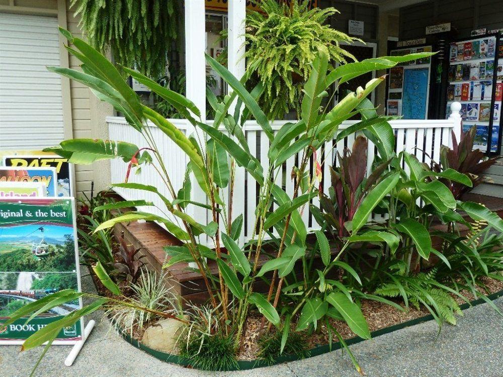 Palm Cove Tropic Apartments Eksteriør bilde