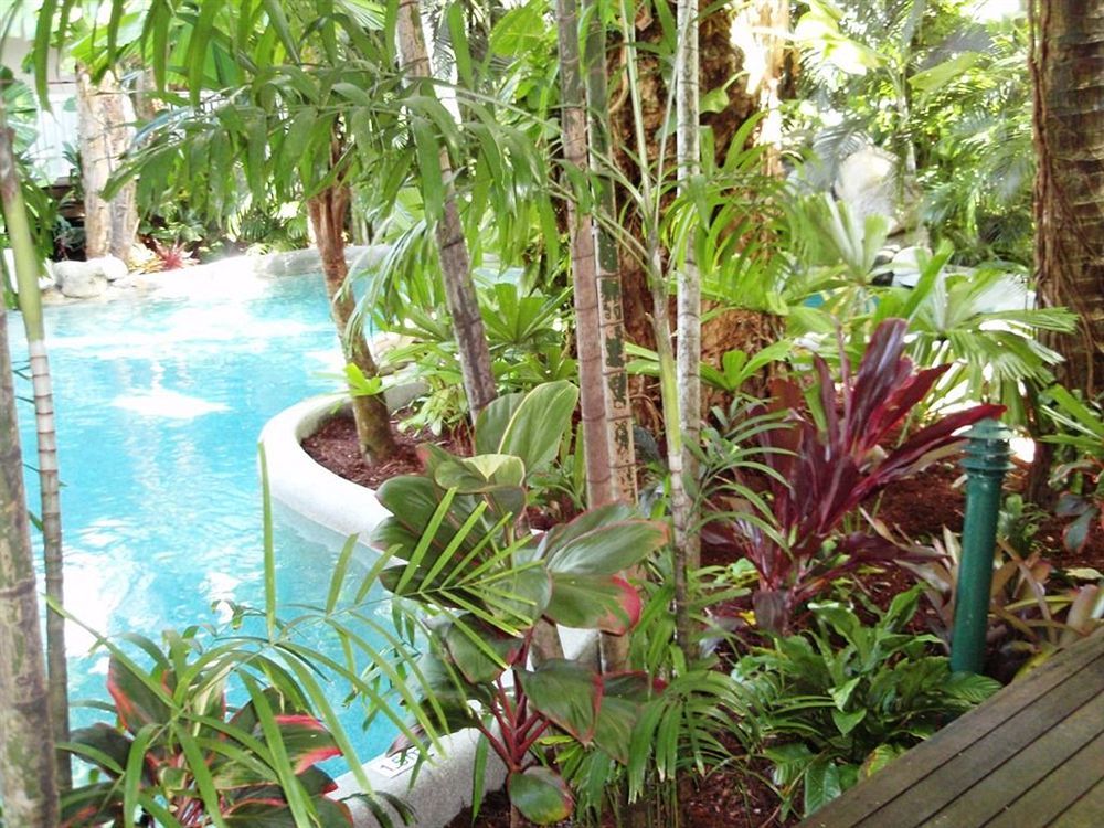 Palm Cove Tropic Apartments Eksteriør bilde