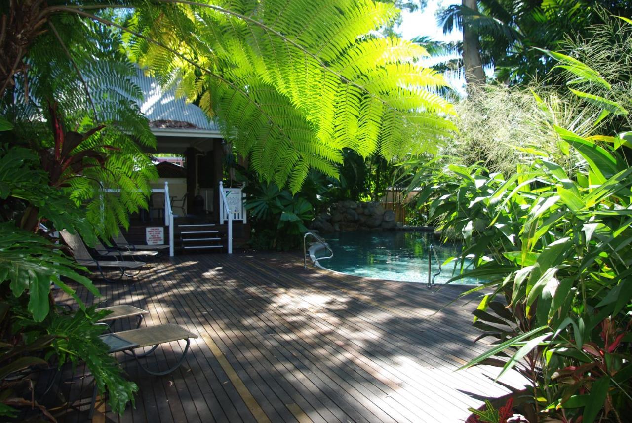 Palm Cove Tropic Apartments Eksteriør bilde